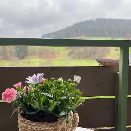 Schwarzwaldtraeumchen, Suedbalkon, Hallenbad, Tg *