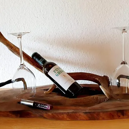 Apartment Schwarzwaldträumchen, Südbalkon, Hallenbad, Tg Baiersbronn