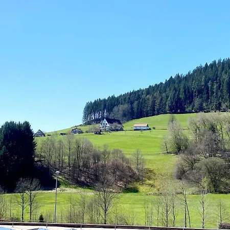 Apartment Schwarzwaldtraeumchen, Suedbalkon, Hallenbad, Tg *