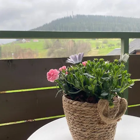 Schwarzwaldträumchen, Südbalkon, Hallenbad, Tg * Baiersbronn