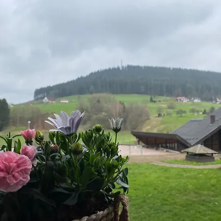 Apartment Schwarzwaldtraeumchen, Suedbalkon, Hallenbad, Tg *