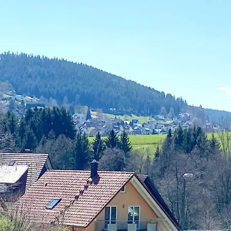 Schwarzwaldträumchen, Südbalkon, Hallenbad, Tg Baiersbronn